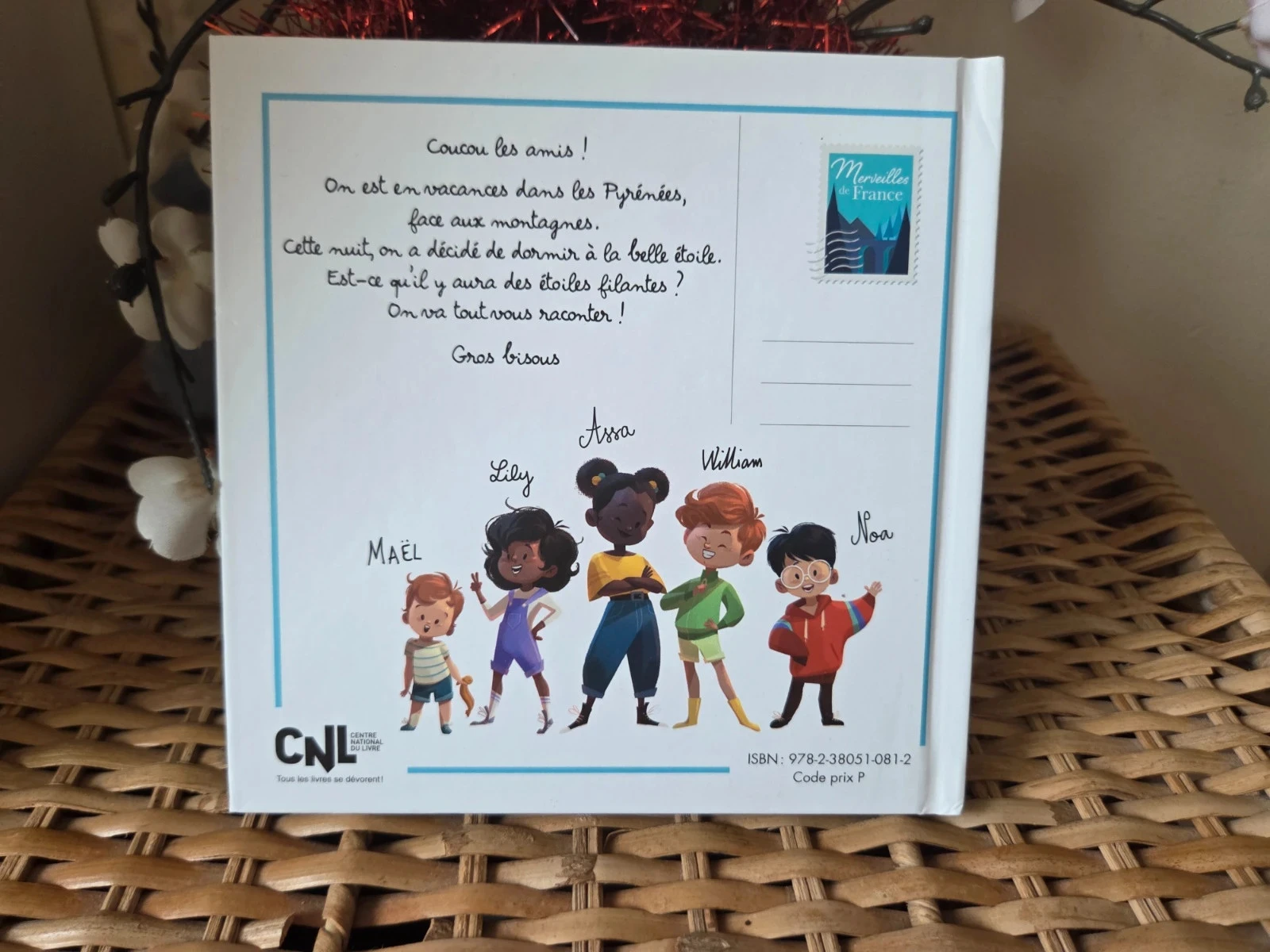 💜Le pic du midi d'ossau livro infantil – photo 2